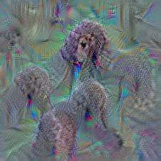 n02113712